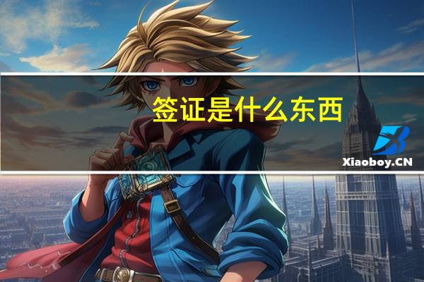 签证是什么东西
