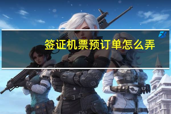 签证机票预订单怎么弄