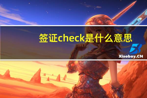 签证check是什么意思
