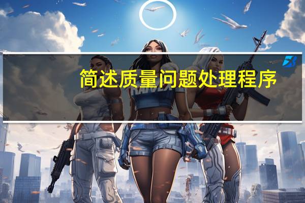 简述质量问题处理程序