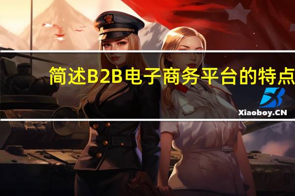 简述B2B电子商务平台的特点