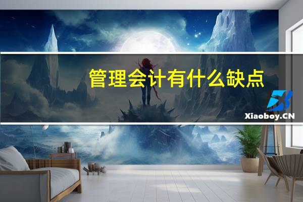 管理会计有什么缺点