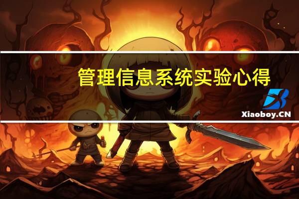 管理信息系统实验心得