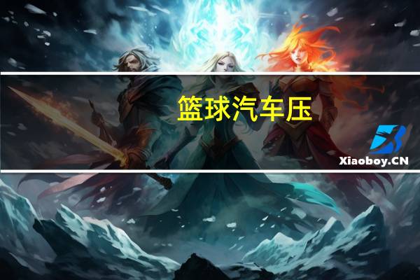篮球汽车压