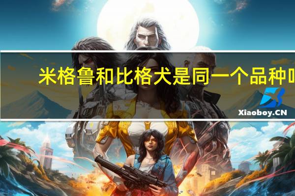 米格鲁和比格犬是同一个品种吗
