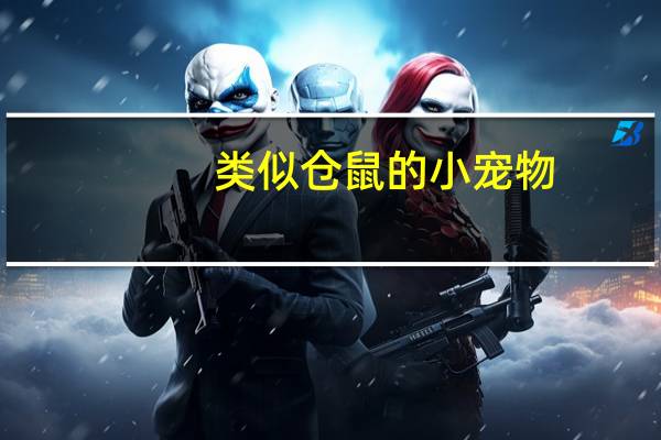 类似仓鼠的小宠物