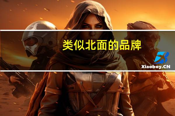 类似北面的品牌