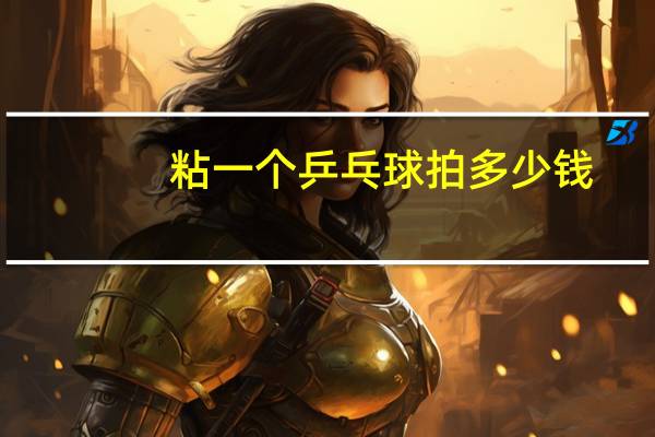 粘一个乒乓球拍多少钱