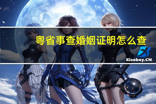 粤省事查婚姻证明怎么查