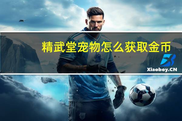 精武堂宠物怎么获取金币