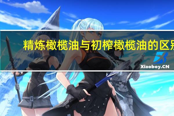 精炼橄榄油与初榨橄榄油的区别