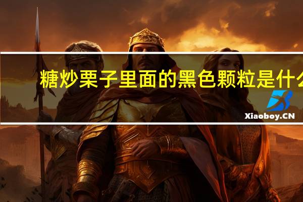 糖炒栗子里面的黑色颗粒是什么