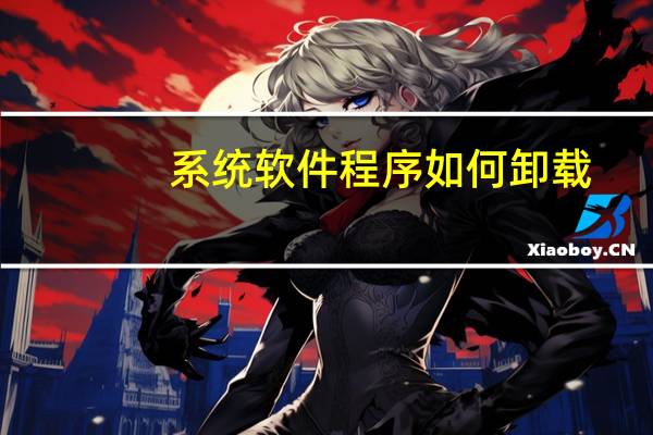 系统软件程序如何卸载