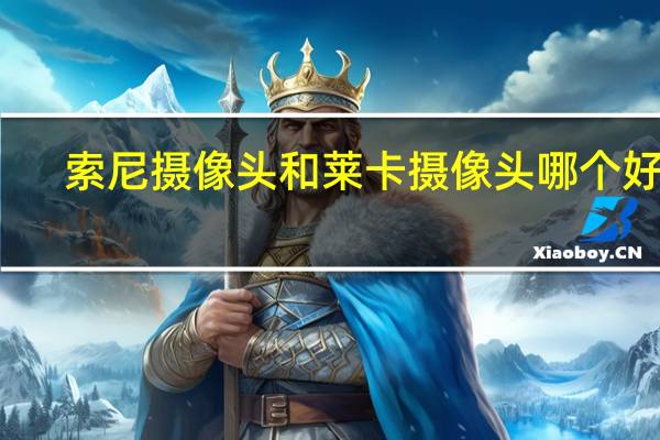 索尼摄像头和莱卡摄像头哪个好点