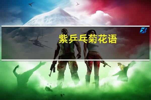 紫乒乓菊花语