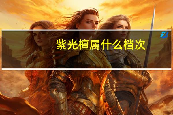 紫光檀属什么档次