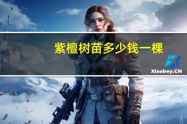 紫檀树苗多少钱一棵