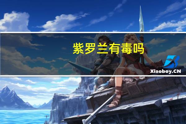 紫罗兰有毒吗