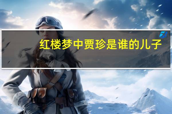 红楼梦中贾珍是谁的儿子