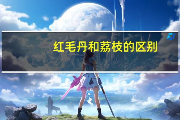 红毛丹和荔枝的区别