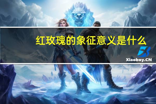 红玫瑰的象征意义是什么
