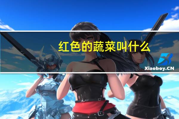 红色的蔬菜叫什么