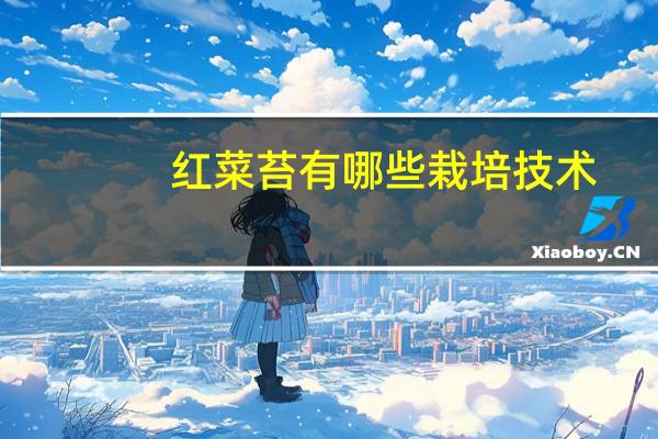 红菜苔有哪些栽培技术