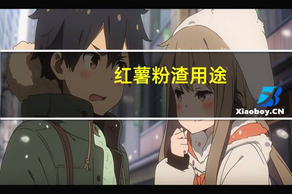红薯粉渣用途