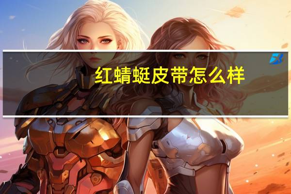红蜻蜓皮带怎么样
