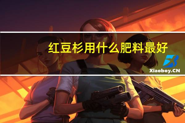 红豆杉用什么肥料最好