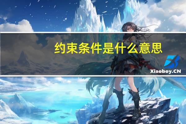 约束条件是什么意思