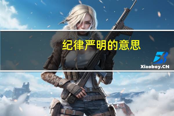 纪律严明的意思