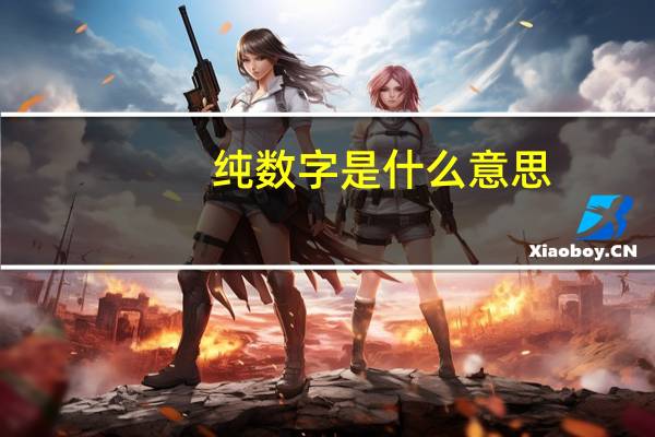 纯数字是什么意思