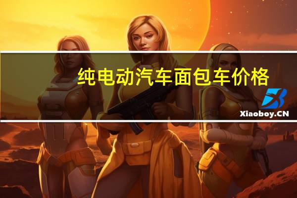 纯电动汽车面包车价格