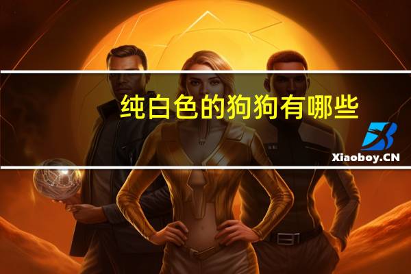 纯白色的狗狗有哪些