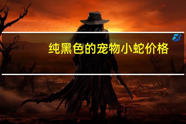 纯黑色的宠物小蛇价格