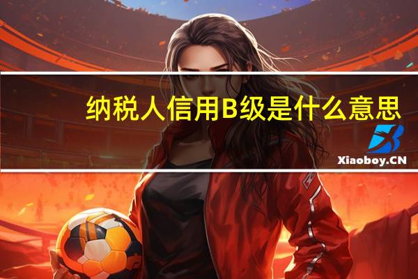纳税人信用B级是什么意思