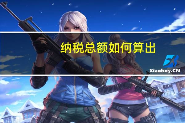 纳税总额如何算出