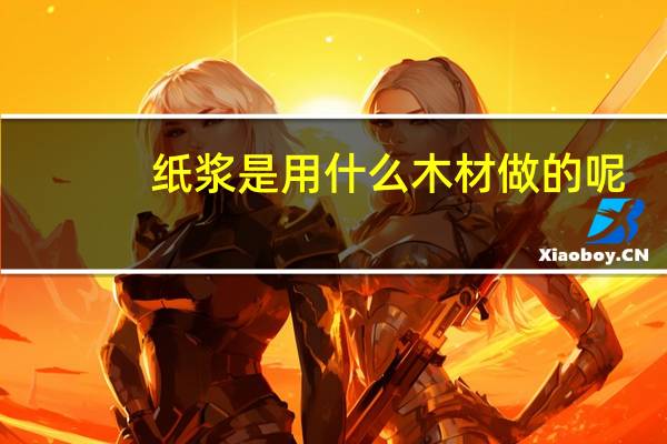 纸浆是用什么木材做的呢