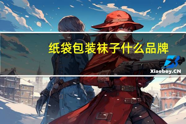 纸袋包装袜子什么品牌