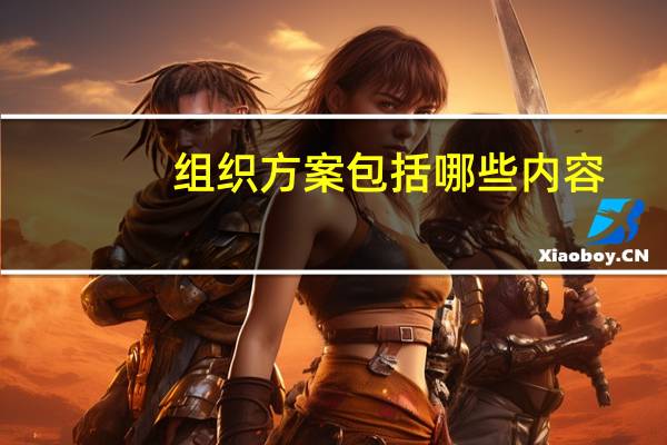 组织方案包括哪些内容