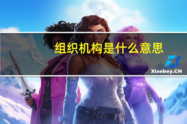 组织机构是什么意思