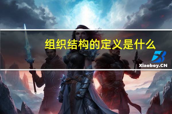 组织结构的定义是什么