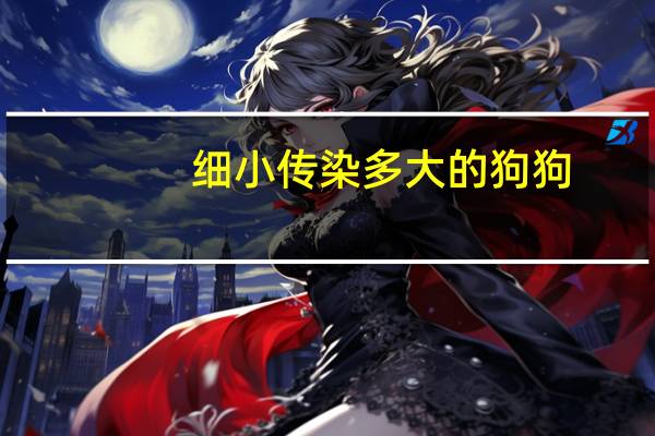 细小传染多大的狗狗
