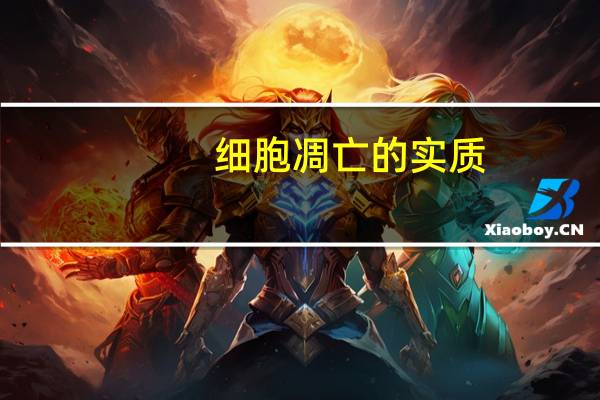 细胞凋亡的实质