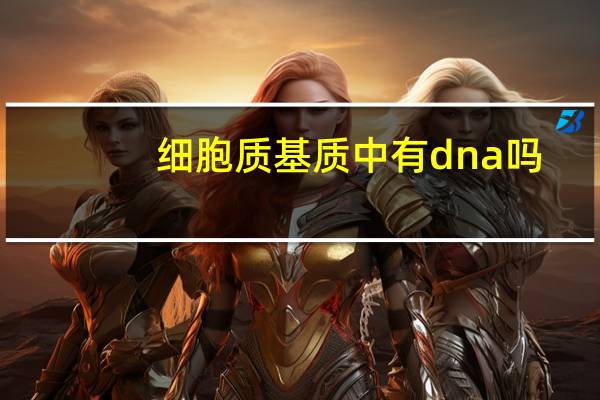 细胞质基质中有dna吗