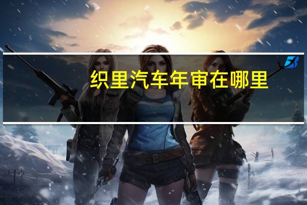 织里汽车年审在哪里