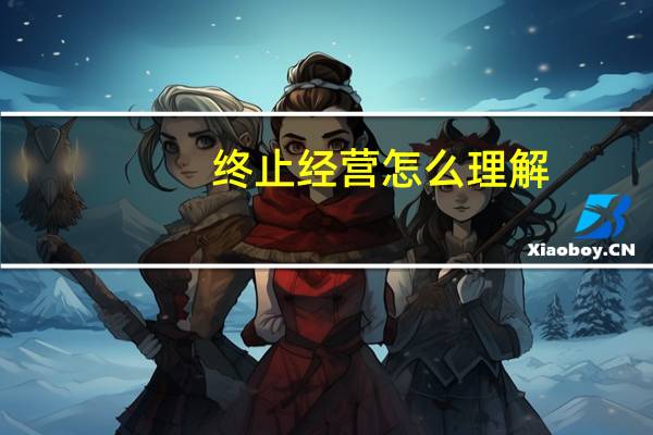 终止经营怎么理解