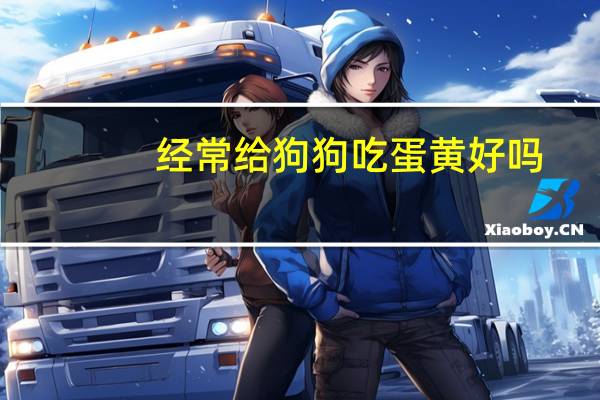 经常给狗狗吃蛋黄好吗