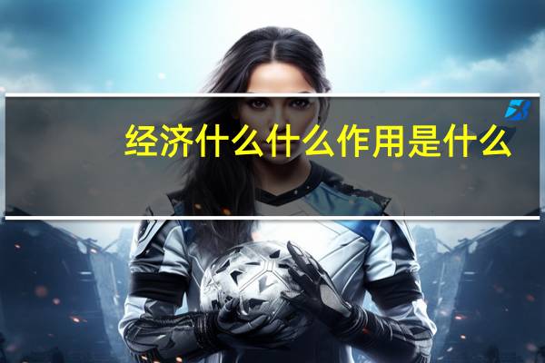 经济什么什么作用是什么